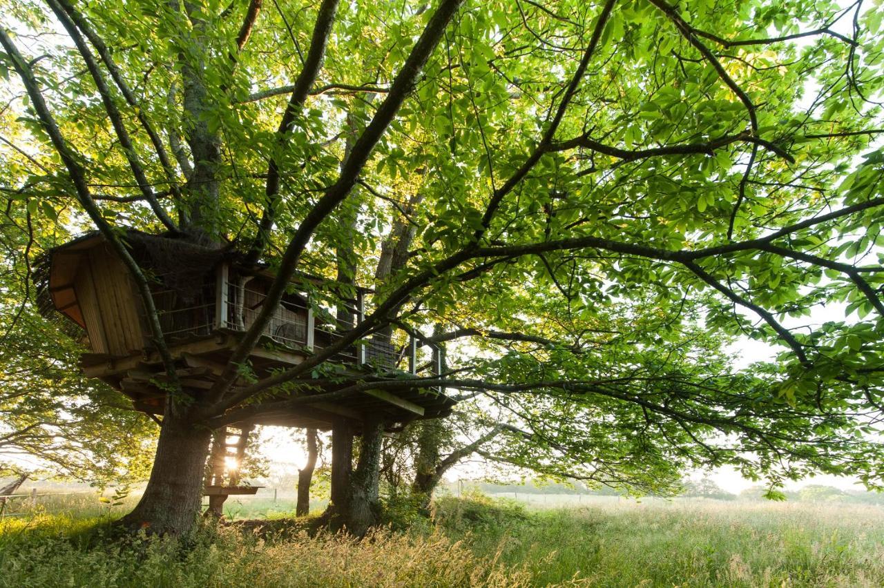 Dihan Evasion- Outdoor accommodations Ploemel Esterno foto