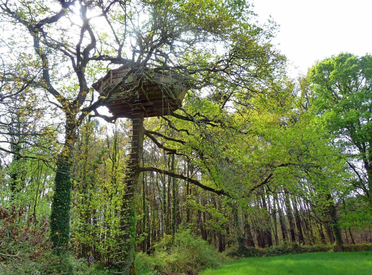 Dihan Evasion- Outdoor accommodations Ploemel Esterno foto