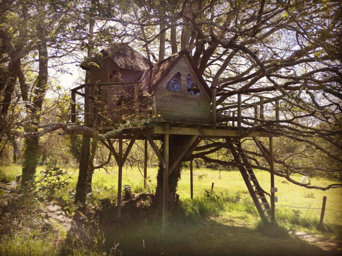 Dihan Evasion- Outdoor accommodations Ploemel Esterno foto