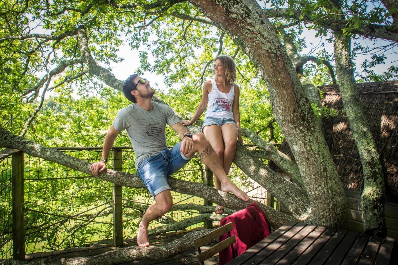 Dihan Evasion- Outdoor accommodations Ploemel Esterno foto