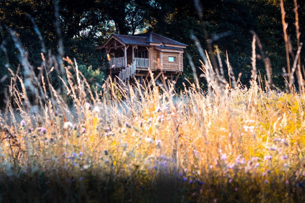 Dihan Evasion- Outdoor accommodations Ploemel Esterno foto
